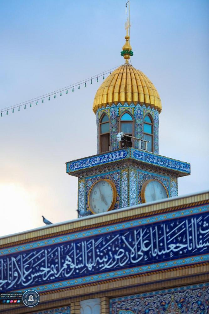 صور فنية 116